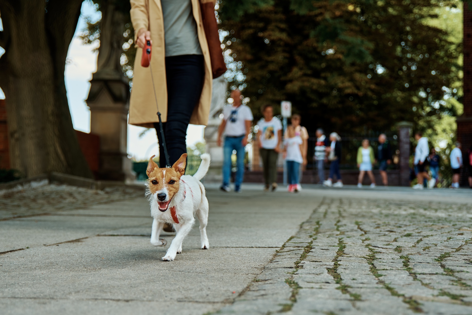 Woman walks with dog