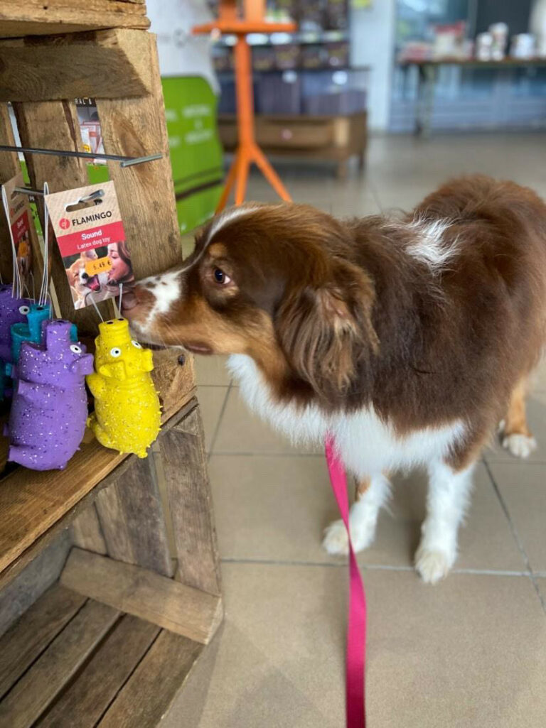 ADC5B738-D1B4-4047-8622-77895A0B1581