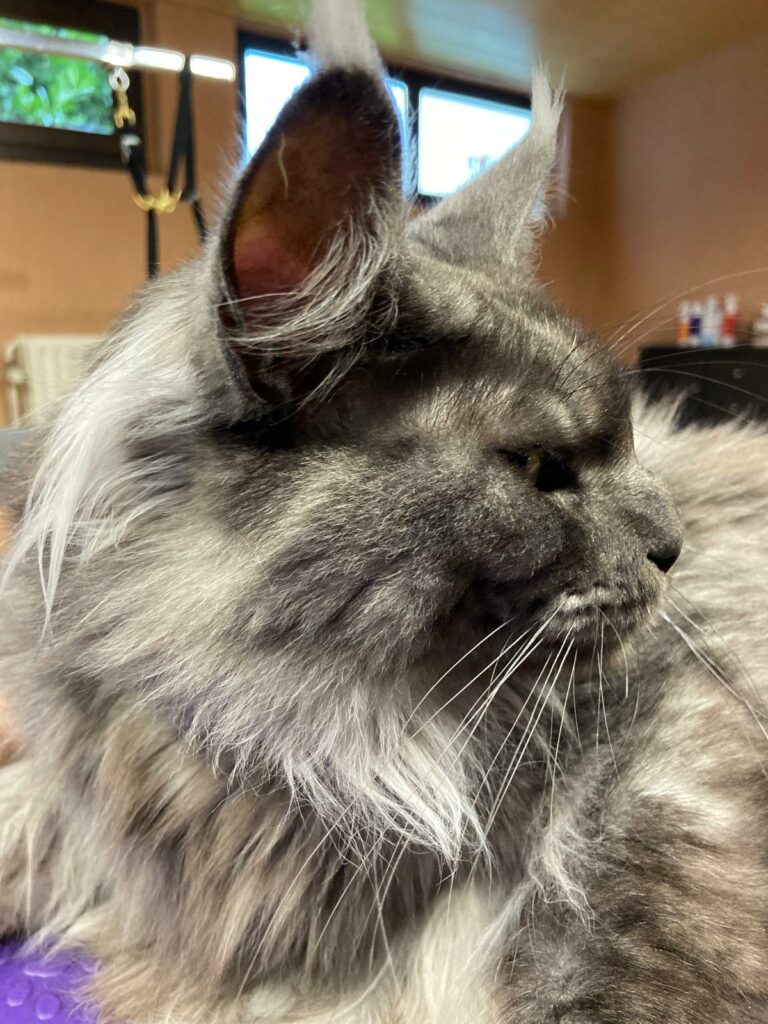 PHOTO-2025-10-16-09-48-53 (2)