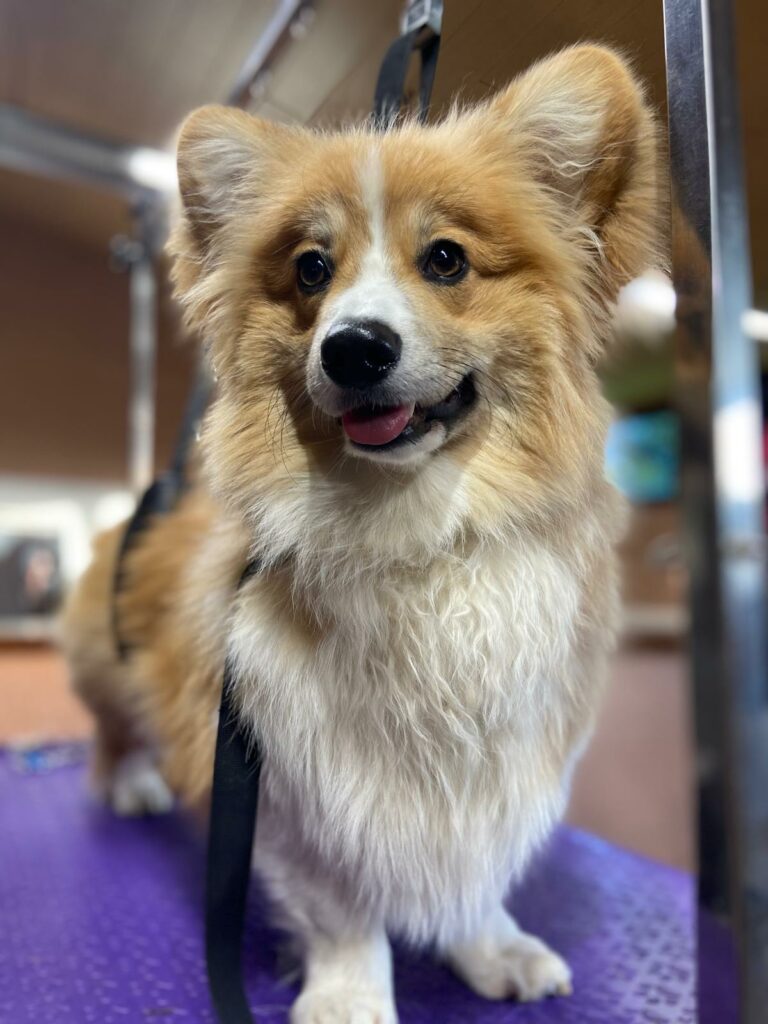 PHOTO-2025-10-16-09-48-53 (3)