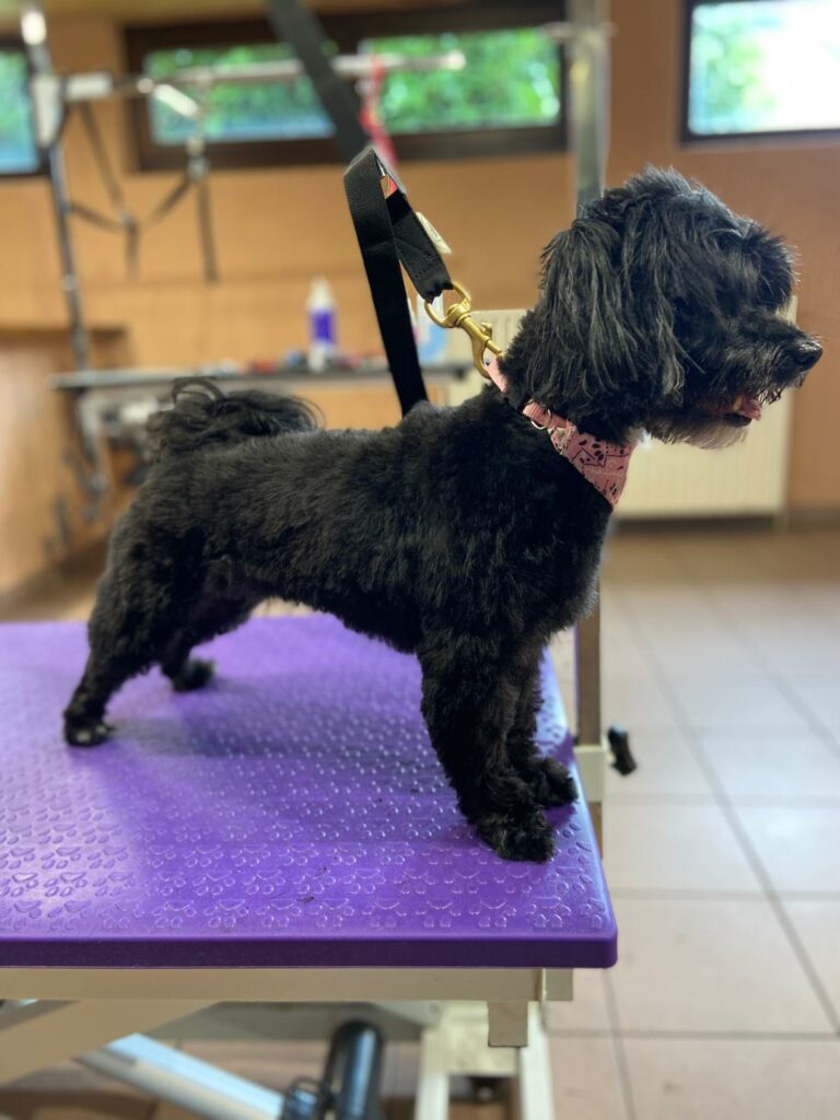 PHOTO-2025-10-16-09-48-53 (4)