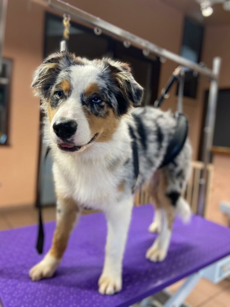 PHOTO-2025-10-16-09-48-53 (5)