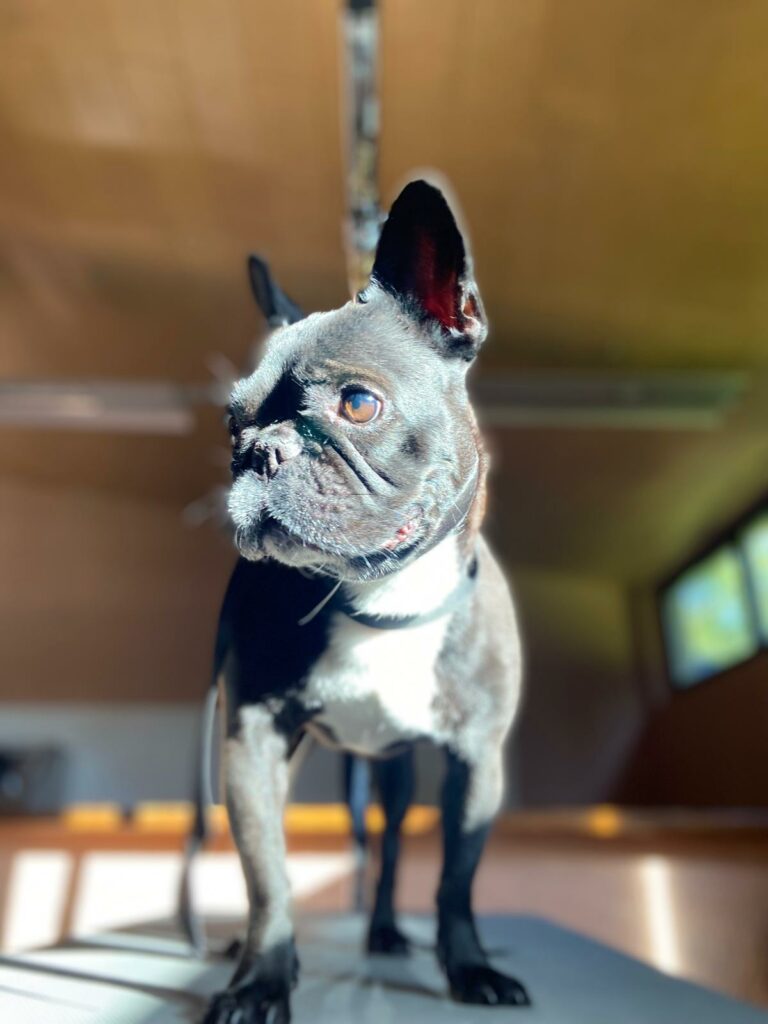 PHOTO-2025-10-16-09-48-53 (6)