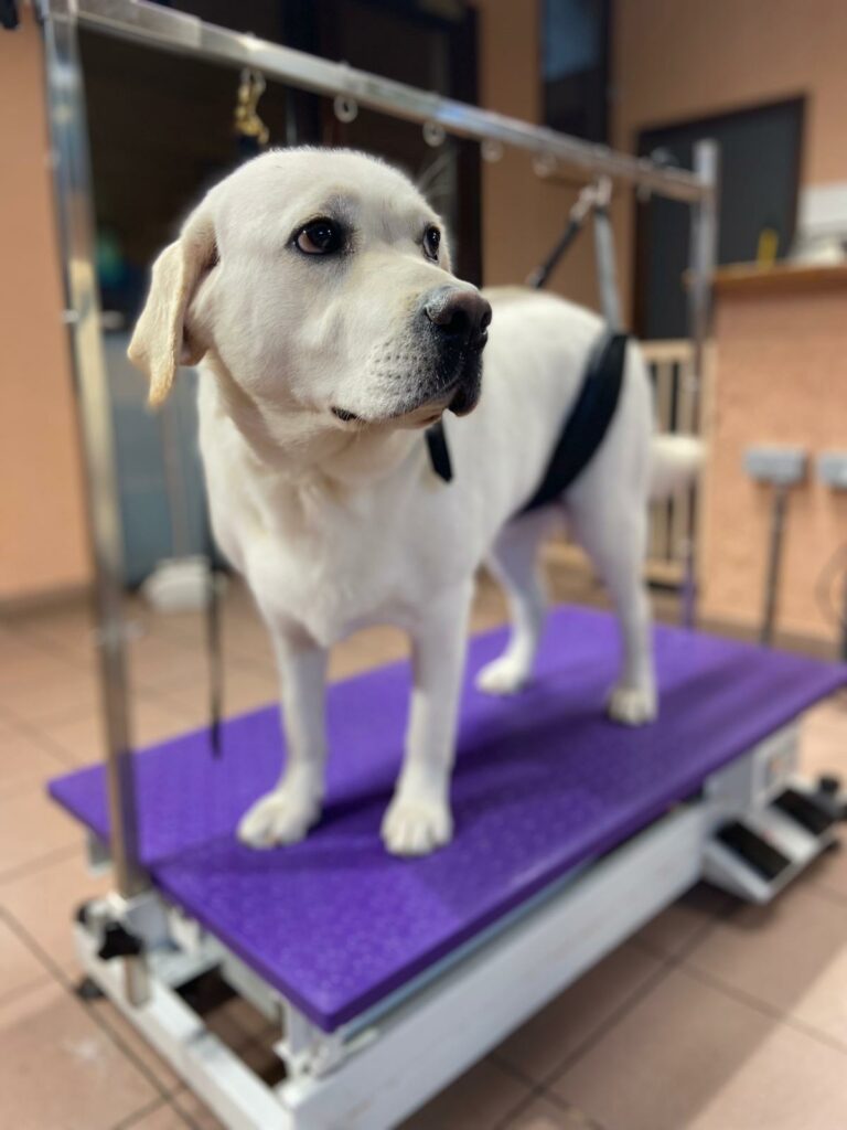 PHOTO-2025-10-16-09-48-53