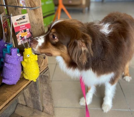 ADC5B738-D1B4-4047-8622-77895A0B1581