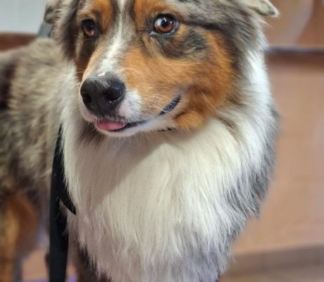 C5EDA459-B7D2-4CBA-B711-2846E1027D47