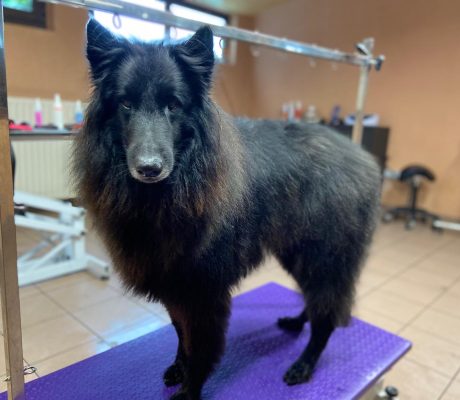 PHOTO-2025-10-16-09-48-53 (1)