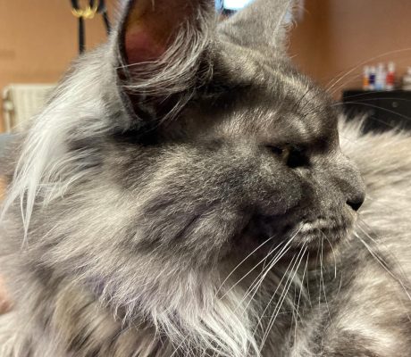 PHOTO-2025-10-16-09-48-53 (2)