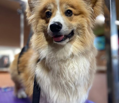 PHOTO-2025-10-16-09-48-53 (3)