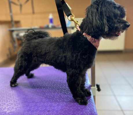 PHOTO-2025-10-16-09-48-53 (4)