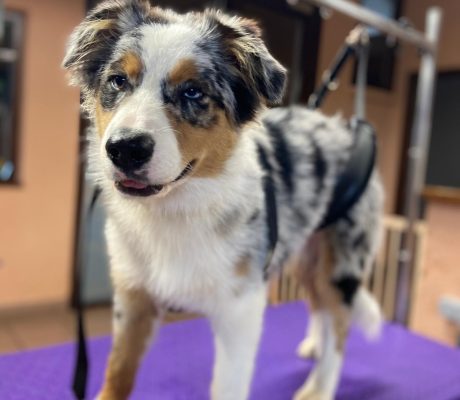 PHOTO-2025-10-16-09-48-53 (5)