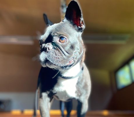 PHOTO-2025-10-16-09-48-53 (6)