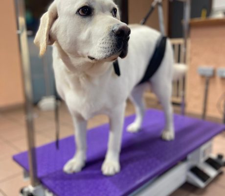 PHOTO-2025-10-16-09-48-53